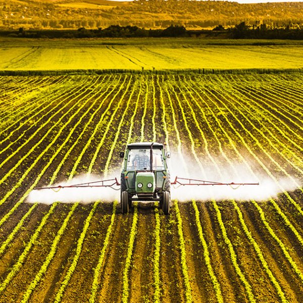 Export ban on pesticides