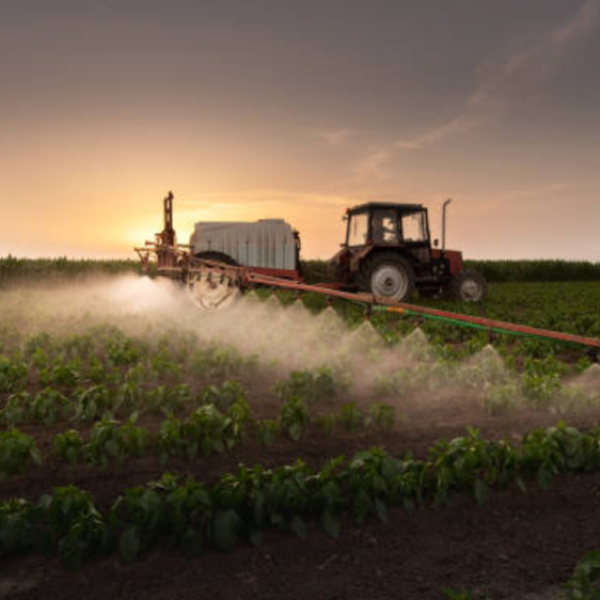 Analyse du rapport du JRC sur les mesures miroirs relatives aux pesticides. Principales conclusions et implications pour le plaidoyer